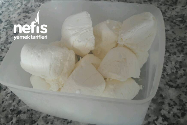 Kaymak - Nefis Yemek Tarifleri - #4897747