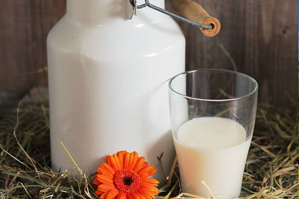 Keçi Sütü Faydaları: Anne Sütüne En Yakın Besin Deposu Tarifi