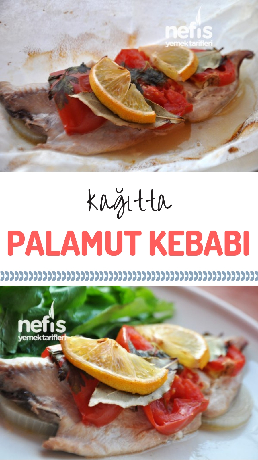 Palamut Nasıl Pişirilir Videosu Palamut Nasıl Pişirilir Videosu