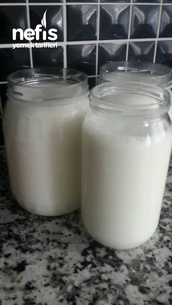 Köy Sütünden Sağlıklı Yoğurt Yapımı