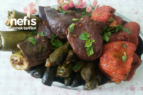 Malatya Usulü Zeytinyağlı Karışık Dolma Parmak Yediren