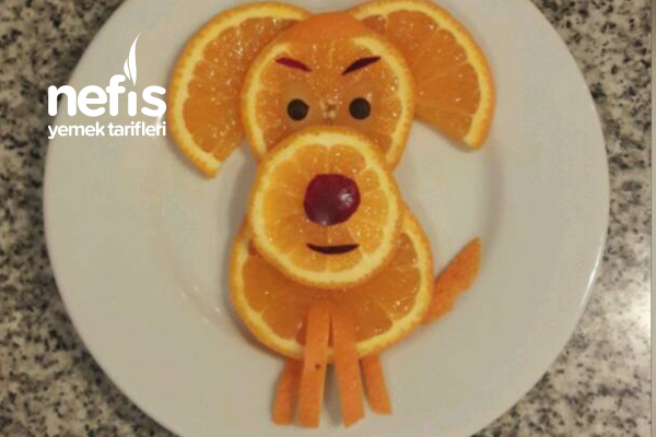Portakaldan Tatlı Köpeğimiz