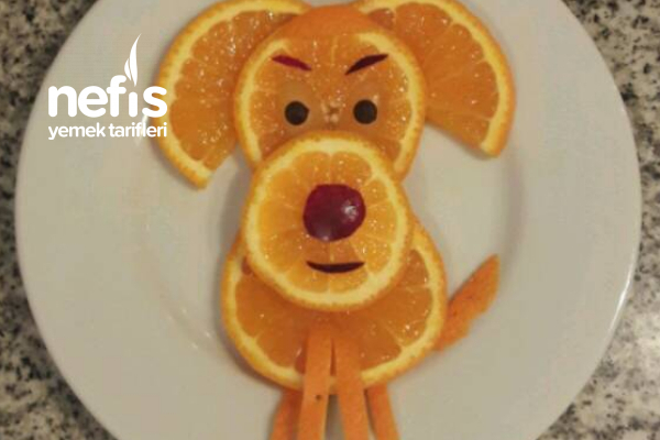Portakaldan Tatlı Köpeğimiz