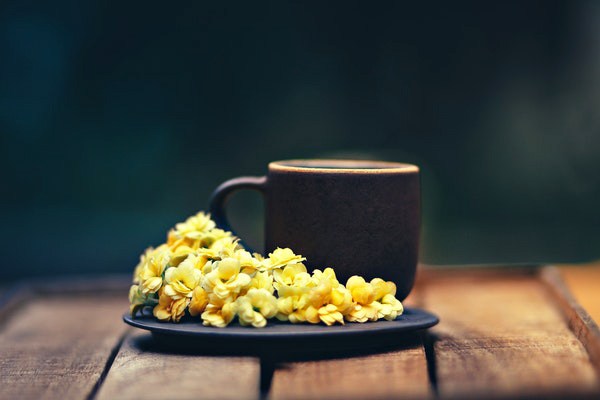 sarı kantaron çayı