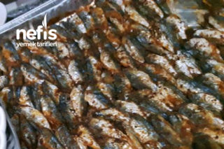İstavrit Balığı (Evde Hazırlanmış Özel Sosuyla) Tarifi