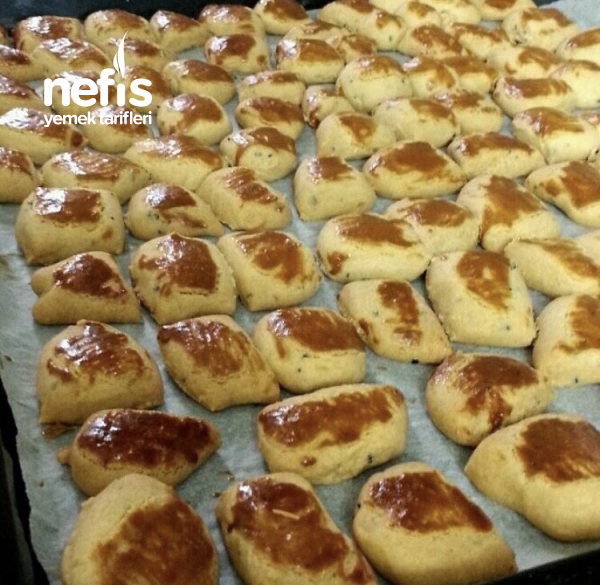 Tuzlu Kurabiye (Çörekotlu) Nefis Yemek Tarifleri
