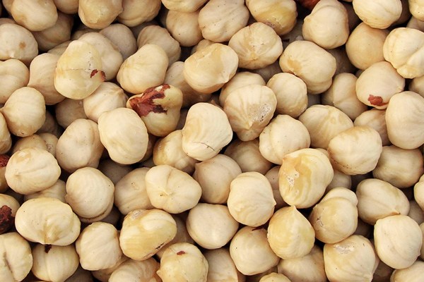 fındık