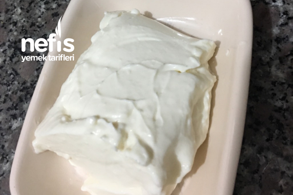 Ev Yapımı Kaymak (Eşimin Tarifi)