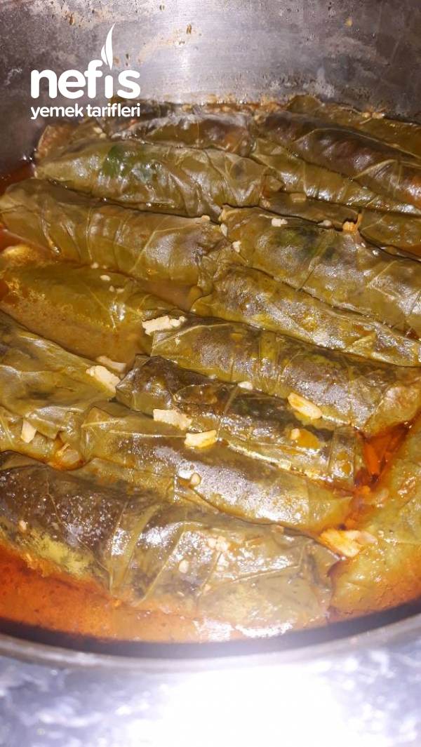 Pazı Sarması