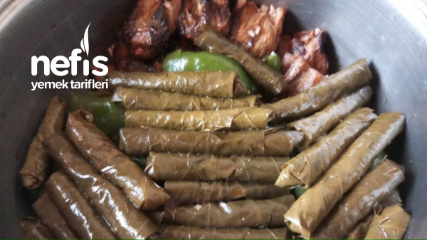 Karışık Dolma