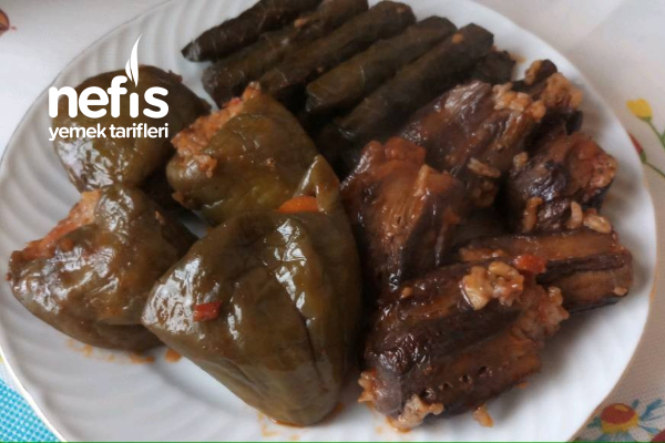 Karışık Dolma