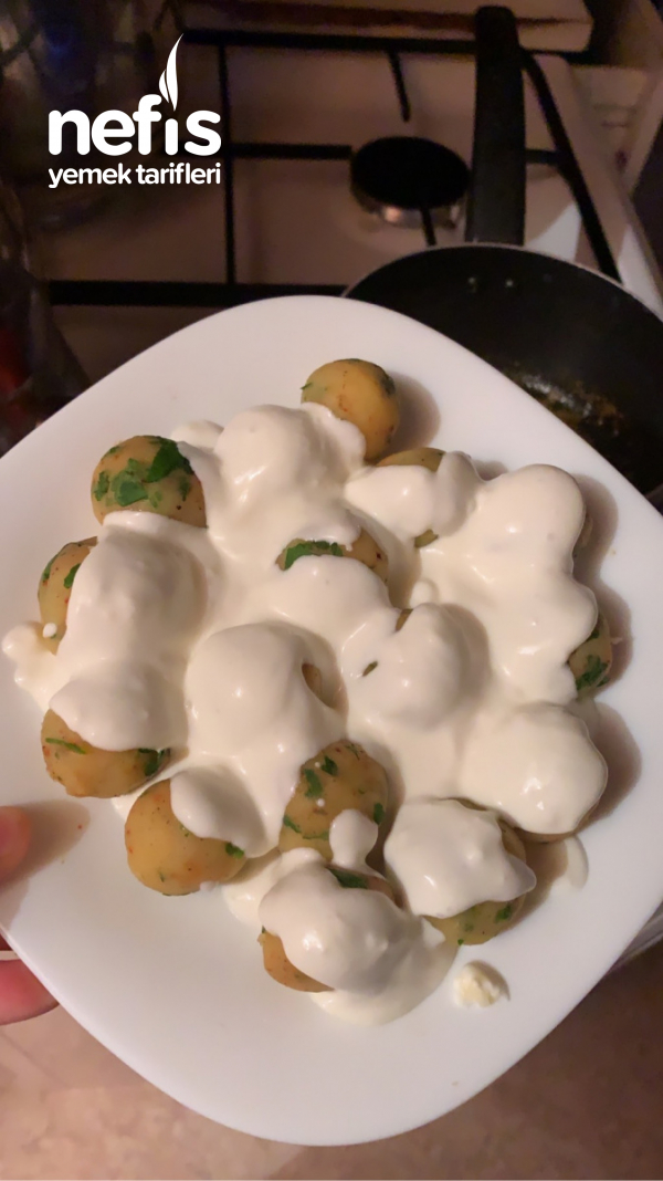 Kolay Yogurtlu Patates Topları