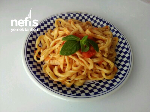 nefis yemek tarifleri