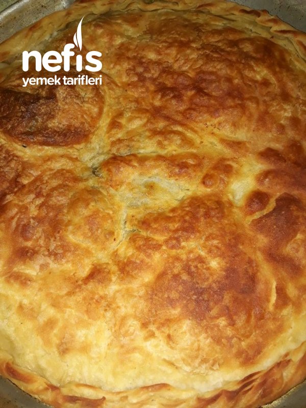 Nefiss El Acmasi İspanakli Borek