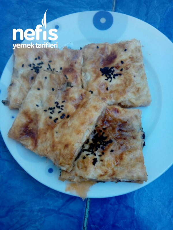 Teramyaglı Ispanaklı Börek