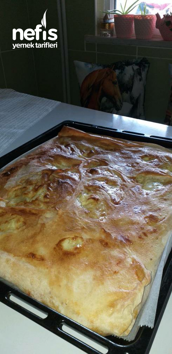 Pırasalı Havuçlu Börek Nefis Yemek Tarifleri 5627112
