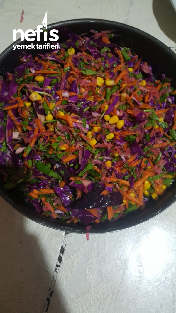 Karışık Renkli Salata