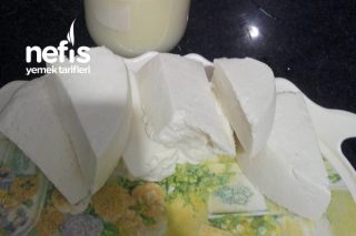 Evde Peynir Yapımı Tarifi
