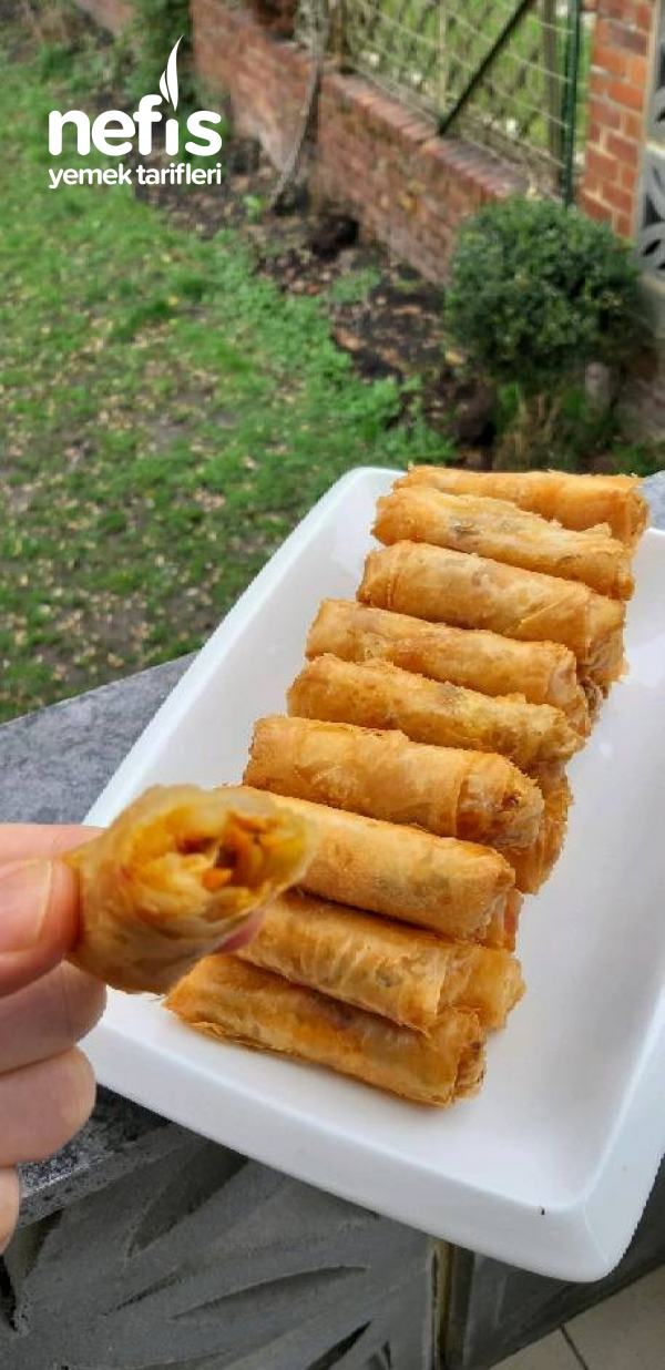 Sebzeli Borek(lumpia)