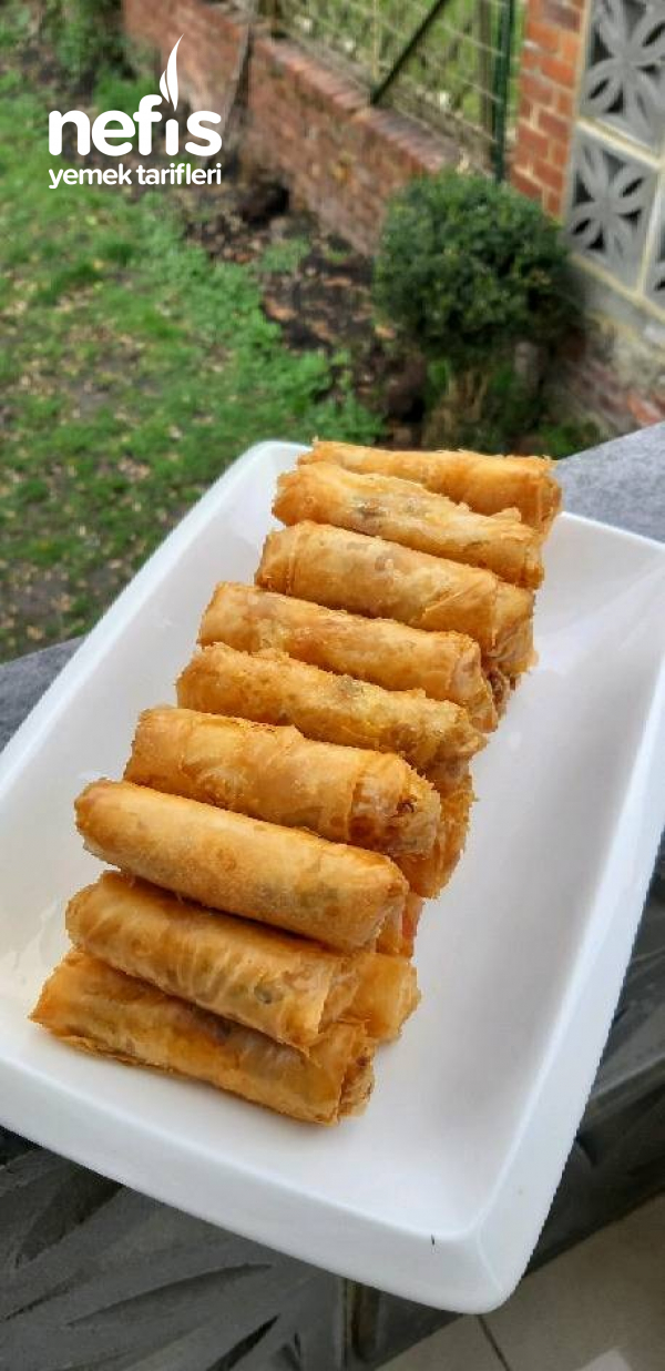 Sebzeli Borek(lumpia)