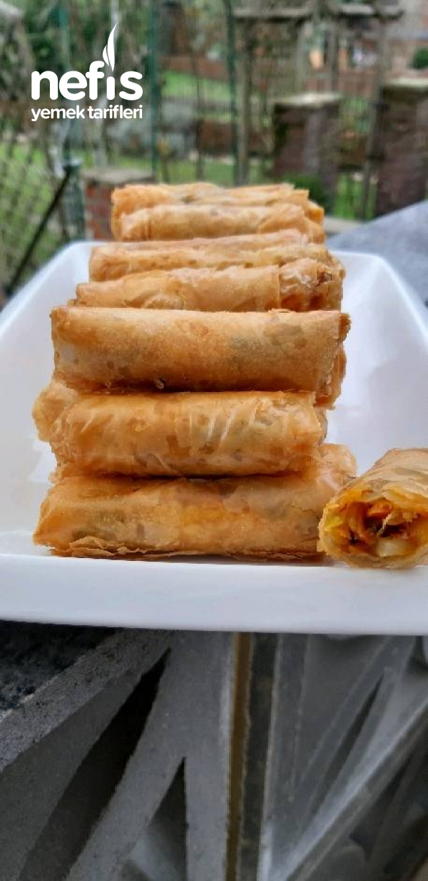 Sebzeli Borek(lumpia)