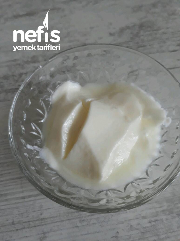 Puf Noktalariyla Probiyotik Yogurt (doktor Tarifi)