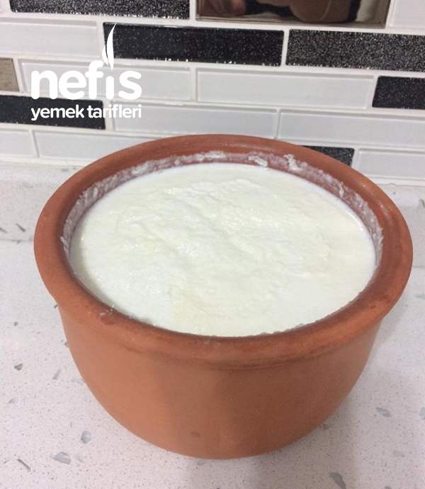 Ev Yoğurdu Nefis Yemek Tarifleri 5744558