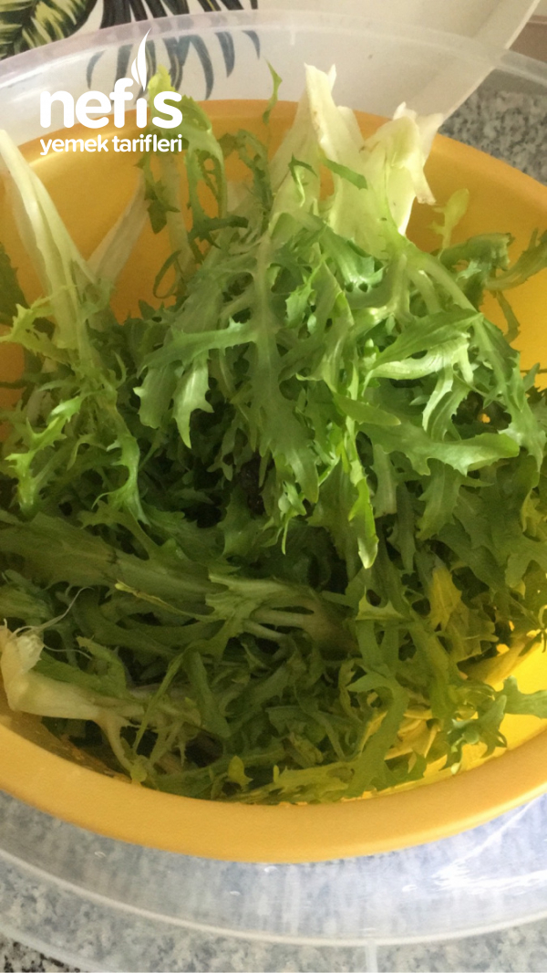 Karahindiba( Radika) Salatası
