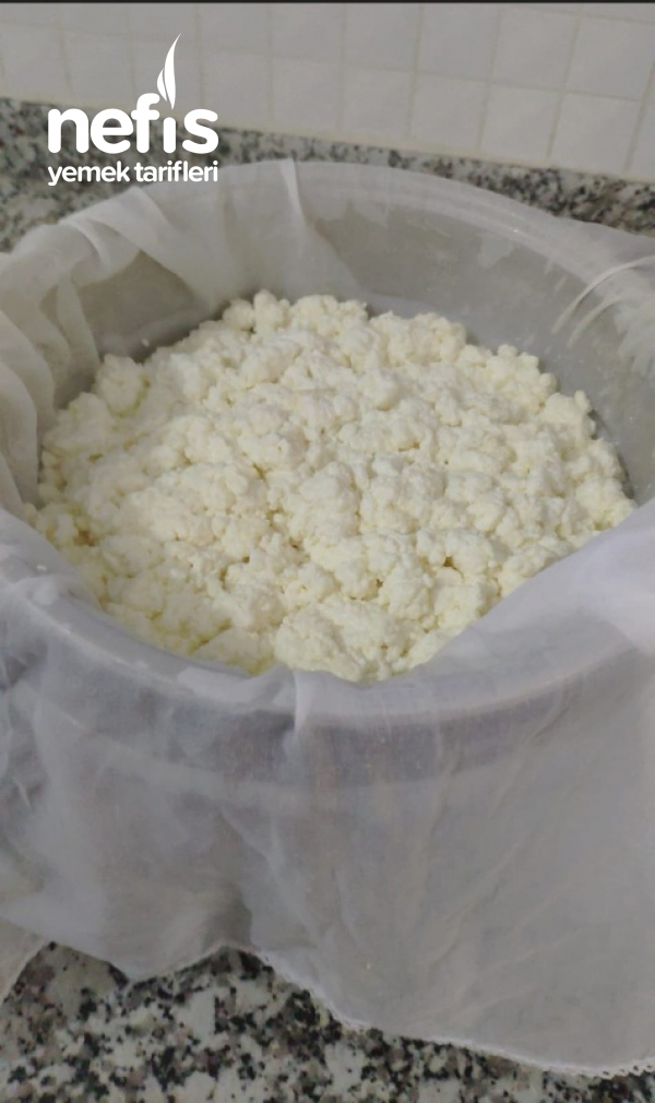 Kaşar Peynir Lezzetinde Yagli Beyaz Peynir Yapımı