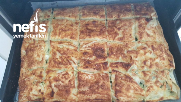 Pratik Ispanaklı Börek