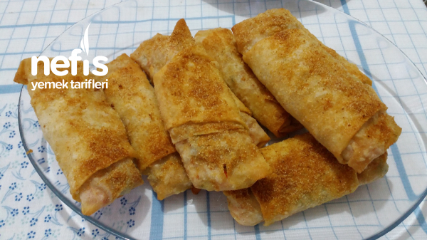 Sebzeli Tavuklu Börek