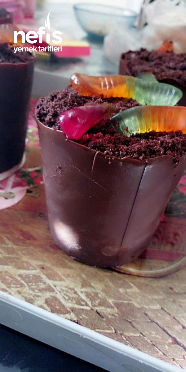 Gerçek Görünümlü Saksı Çikolata Muhteşem Nefis Yemek Tarifleri