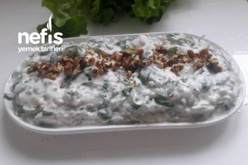 Teremyağlı Freşh Semizotu Salatası Tarifi