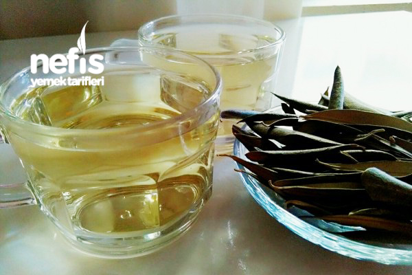 Zeytin Yaprağı Çayının Hiç Bilmediğiniz 7 Gizli Faydası Tarifi Zeytin Yaprağı Çayının Hiç Bilmediğiniz 7 Gizli Faydası Tarifi
