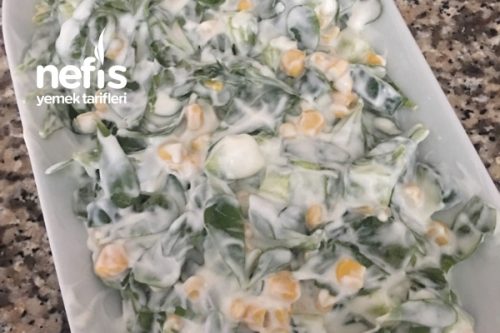 Semizotu Salatası Salatalıklı (Tam Yaz Salatası) Tarifi