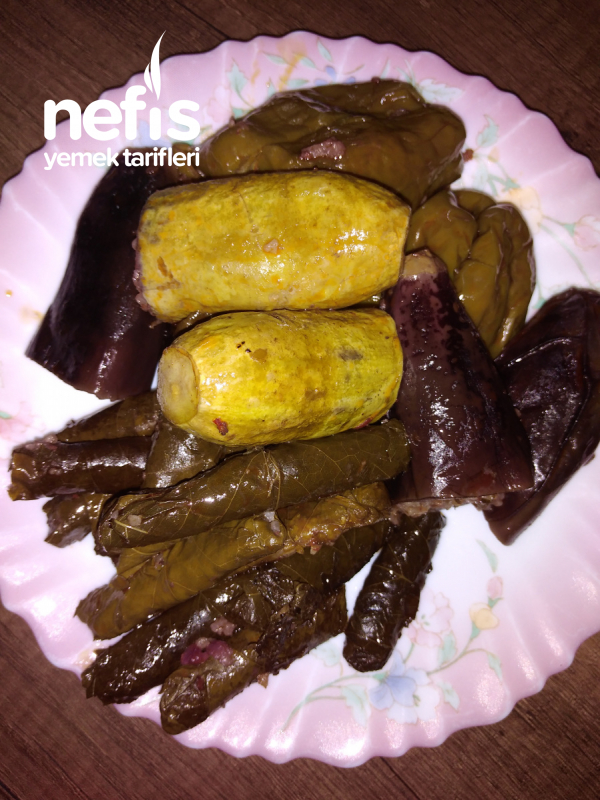 Taze Dolma