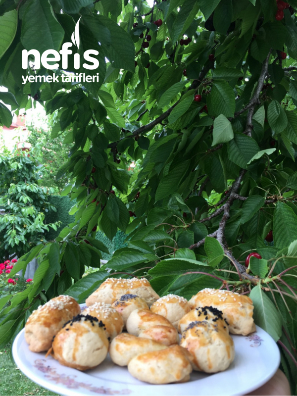 Sütsüz,Tereyağsız Tuzlu Nefis Yemek Tarifleri