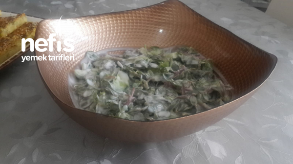 Salatalıklı Semizotlu Yoğurlu Salata