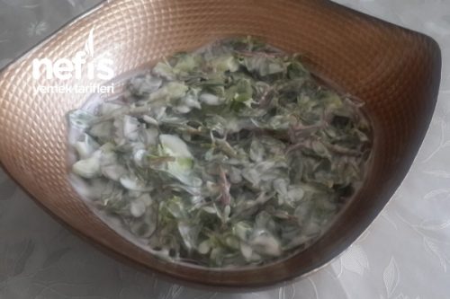 Salatalıklı Semizotlu Yoğurtlu Salata Tarifi