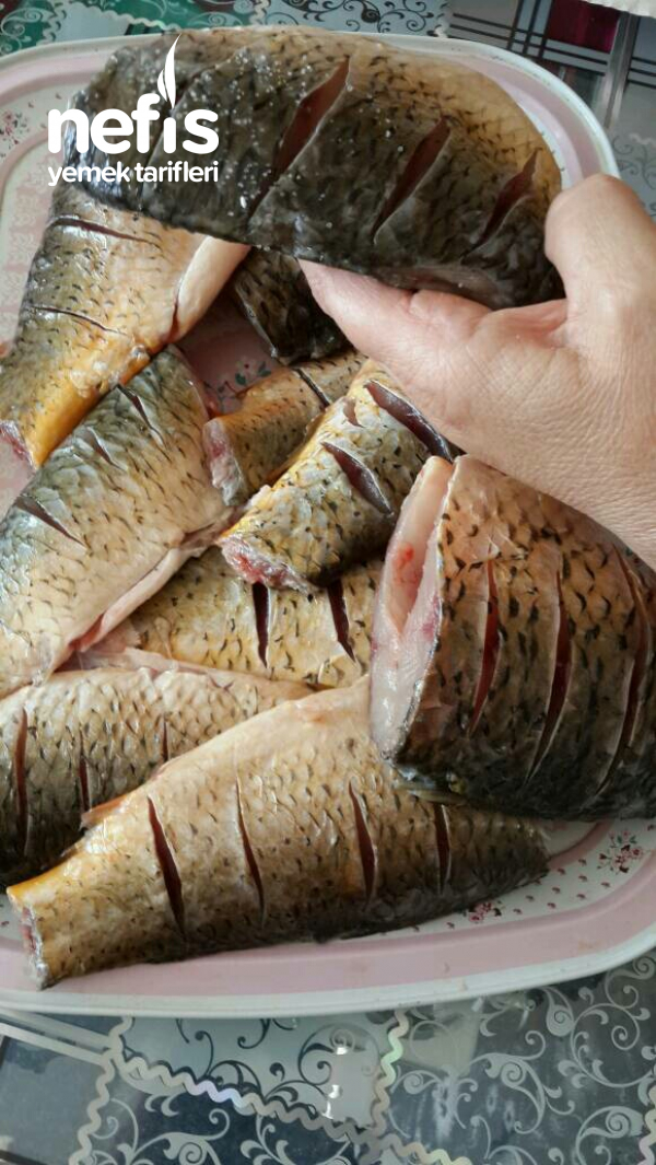 Tavada Sazan Balığı