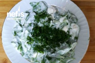 Dereotlu Salatalı Yoğurtlu Semizotu Tarifi