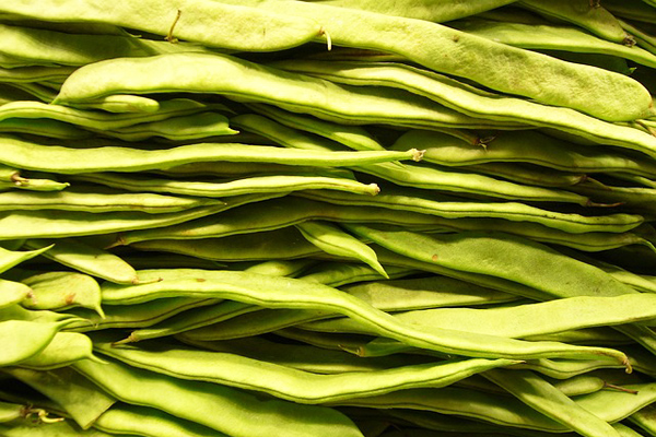 yeşil fasulye nasıl ayıklanır