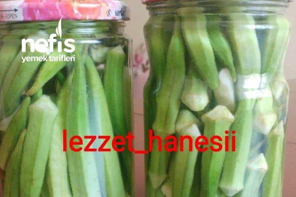 lezzet_hanesii Tarifi