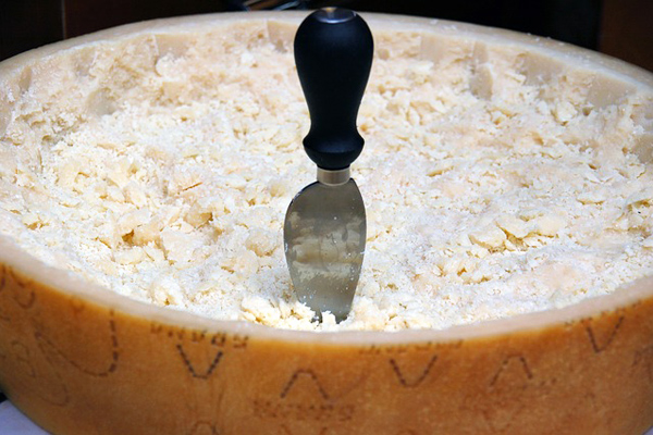 parmesan peyniri faydaları