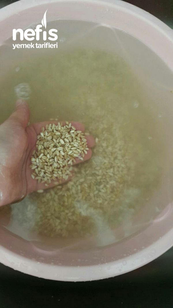 Buzlukta Hazır Pişmiş Buğday (yarma )