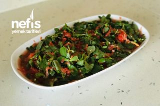 Domatesli Semizotu Salatası Tarifi