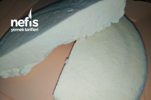 Bayat Süt İle Köy Peyniri Kıvamında Peynir (Videolu) Tarifi