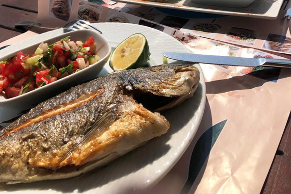 Koycegiz De Ne Yenir En Iyi 10 Restoran Nefis Yemek Tarifleri