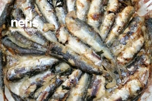 Sardalya Buğlama Tarifi Sardalya Buğlama Tarifi