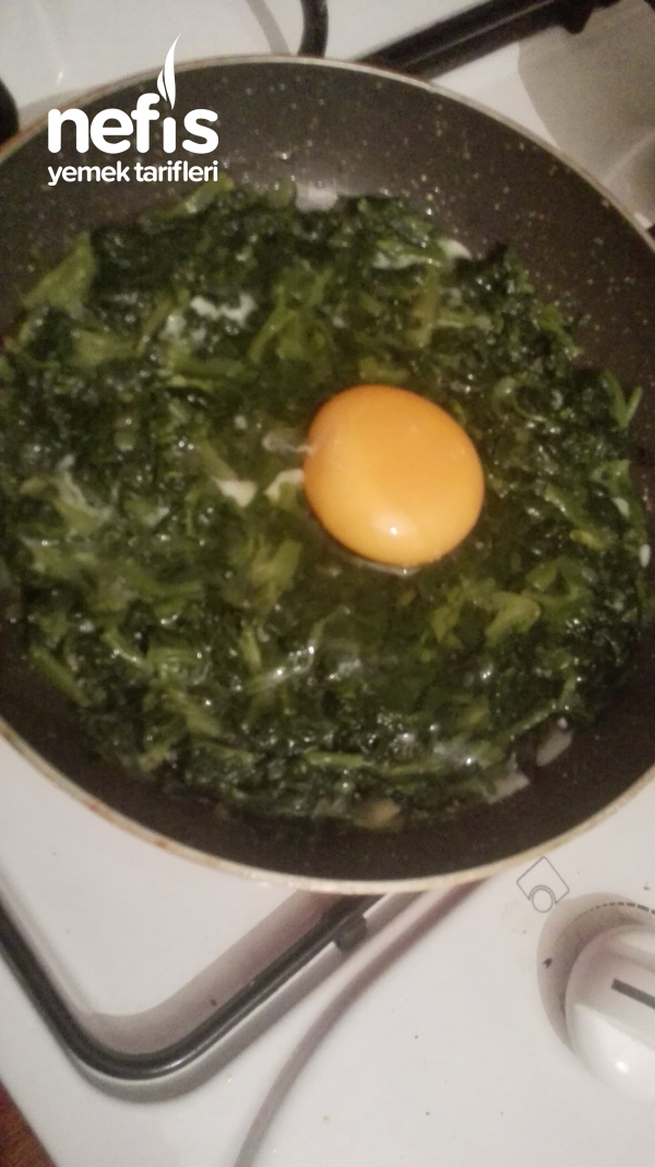 Yumurtalı Ispanak
